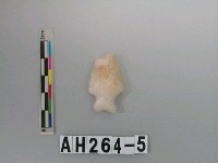 藏品(打製帶鋌石鏃)的圖片